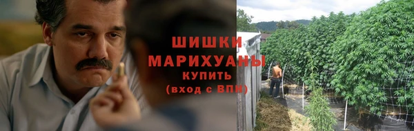 амф Арсеньев