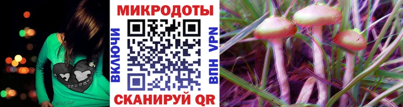 Псилоцибиновые грибы мицелий  что такое   Светлогорск 